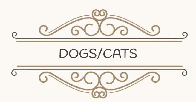 Dogs/Cats/Pet Cards